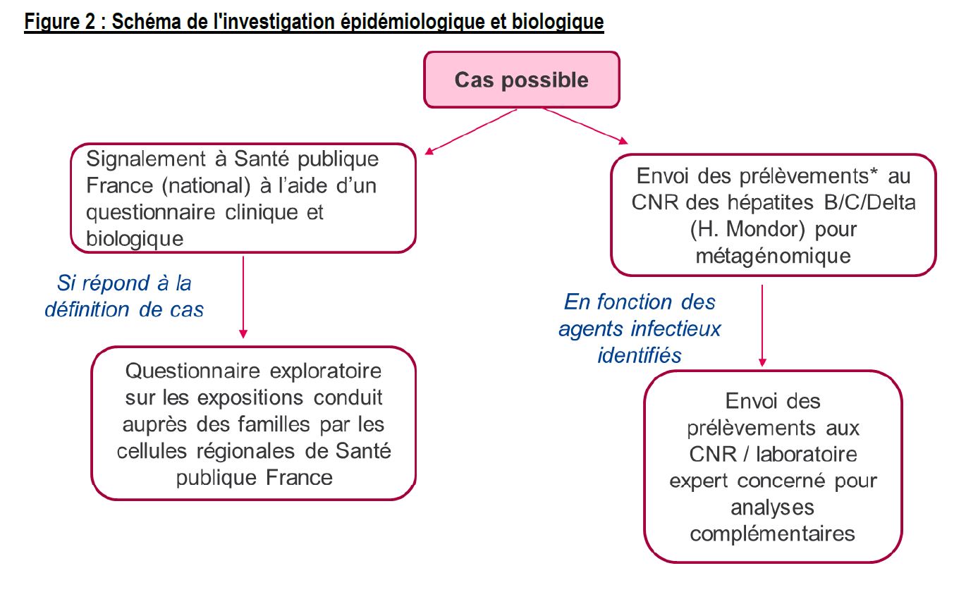 schema de l'investigation epidemiologique et biologique