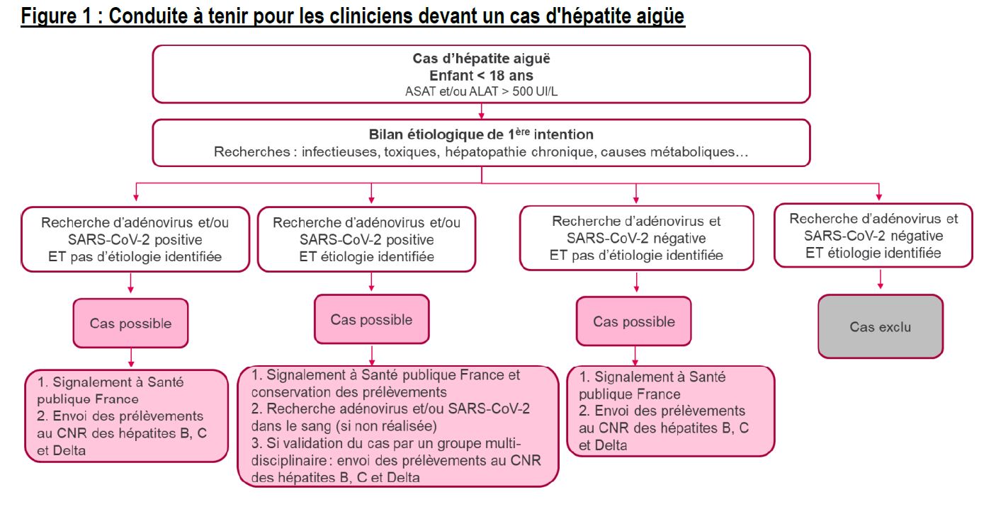 conduite à tenir pour les cliniciens devant un cas d'hépatite aigue